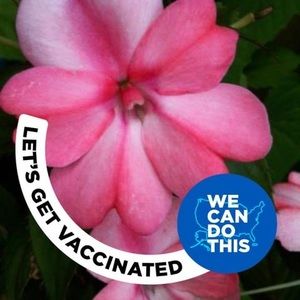 Meet your Posher, Penny